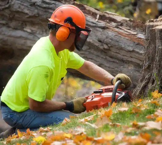 tree services Orange